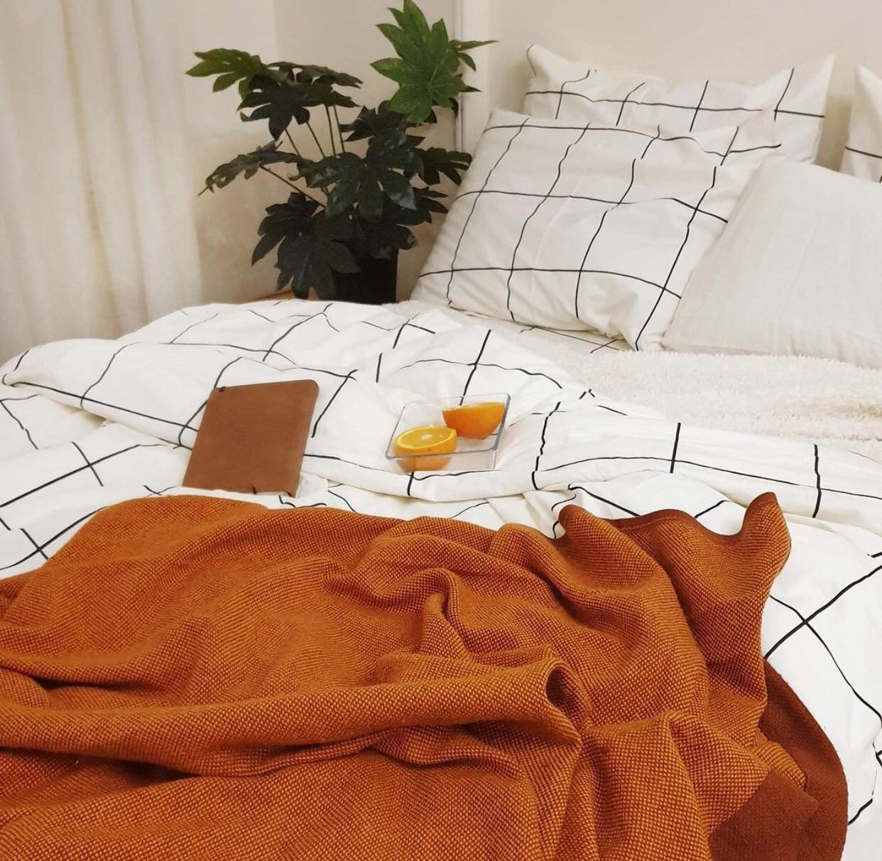 Windowpane Fitted Sheet Set